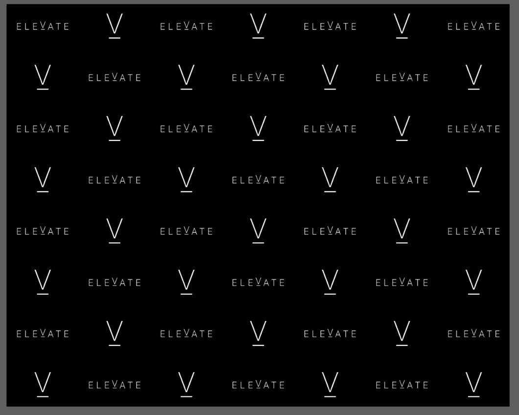 ELEVATE Step and Repeat Backdrop Banner